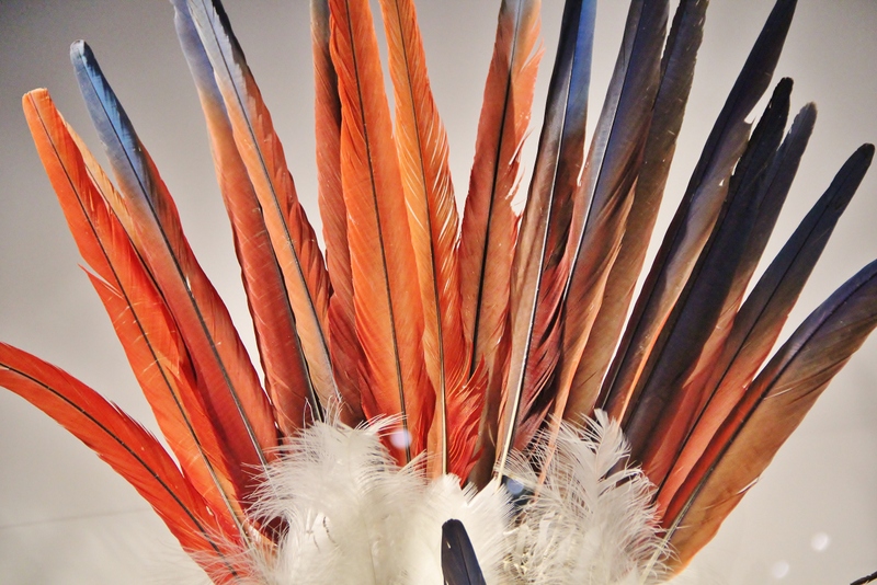 plumes-musee-confluence-mylittleroad