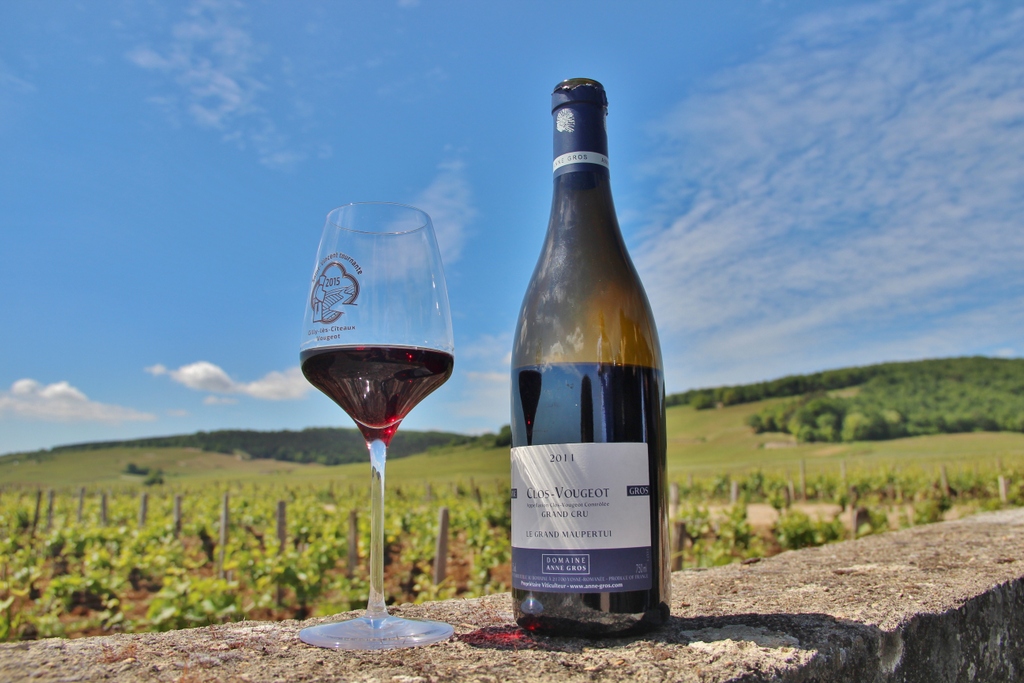 bouteille-vin-degustation-burgundia