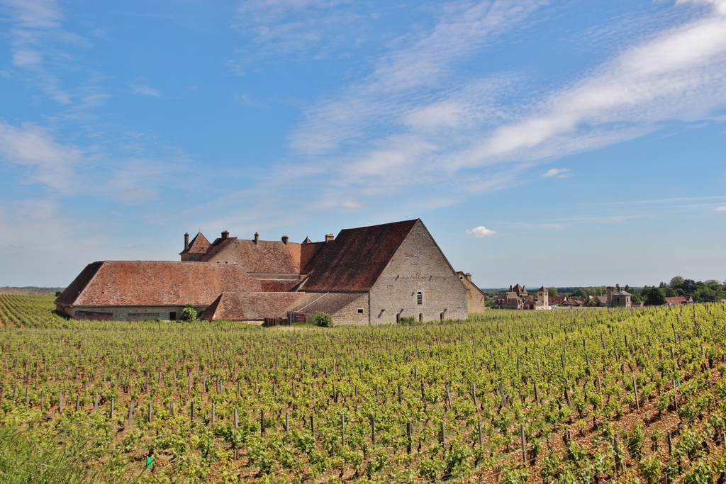 maison-milieu-vignes-burgundia
