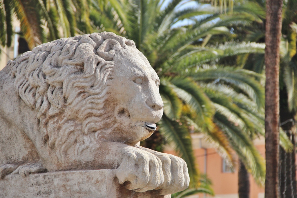 lion-ajaccio-place-palmier