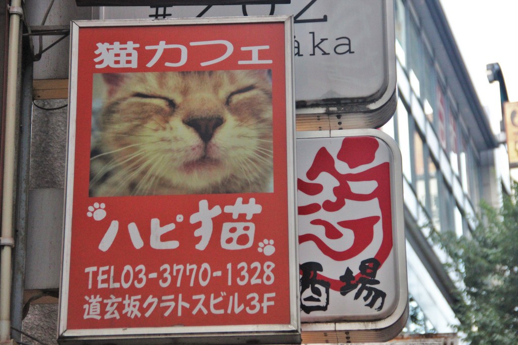 panneau-chat-tokyo