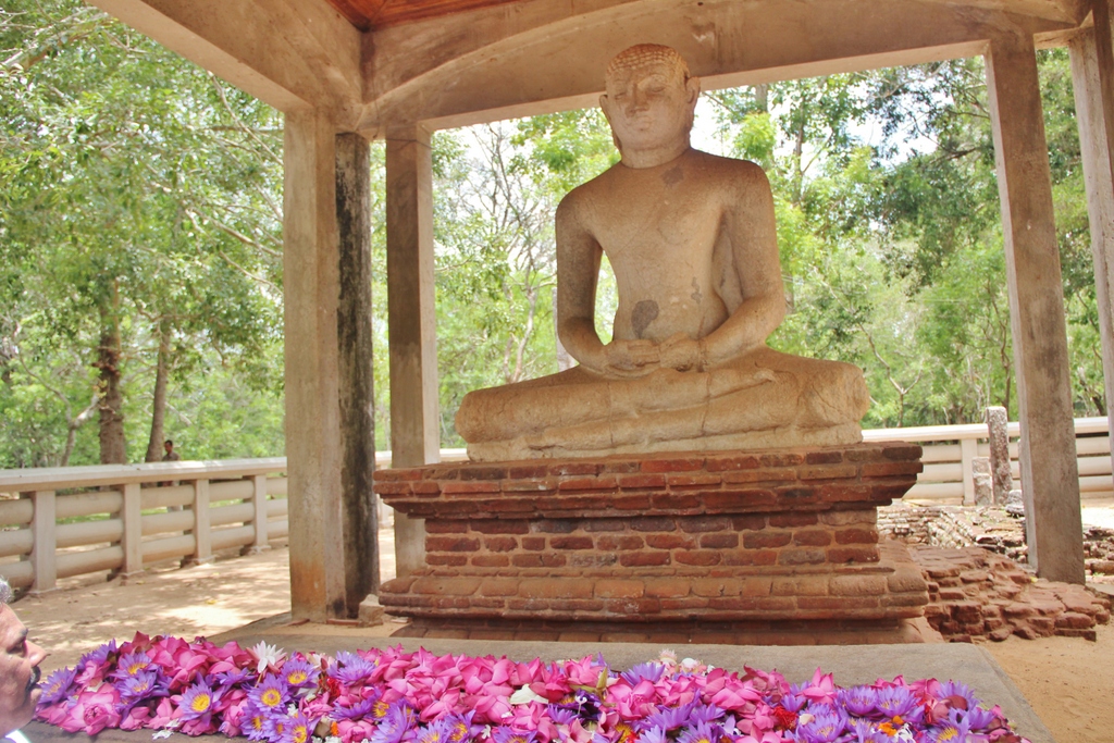 bouddha-fleur-anuradhapura