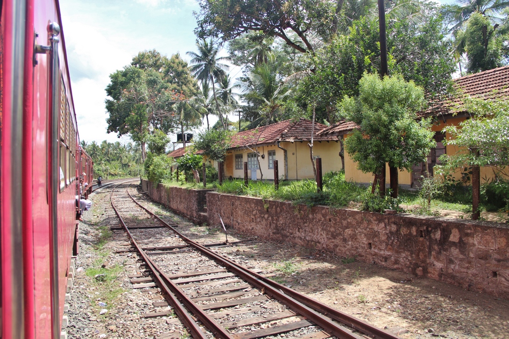 paysage-train-jaffna