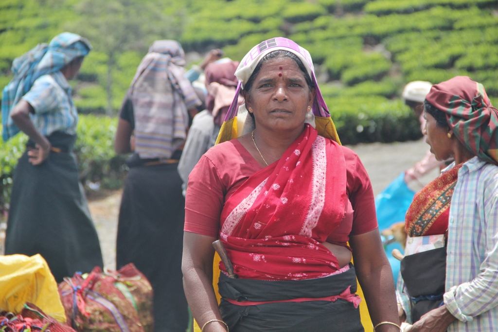 femme-cueilleuse-tea-Ella-Sri-Lanka