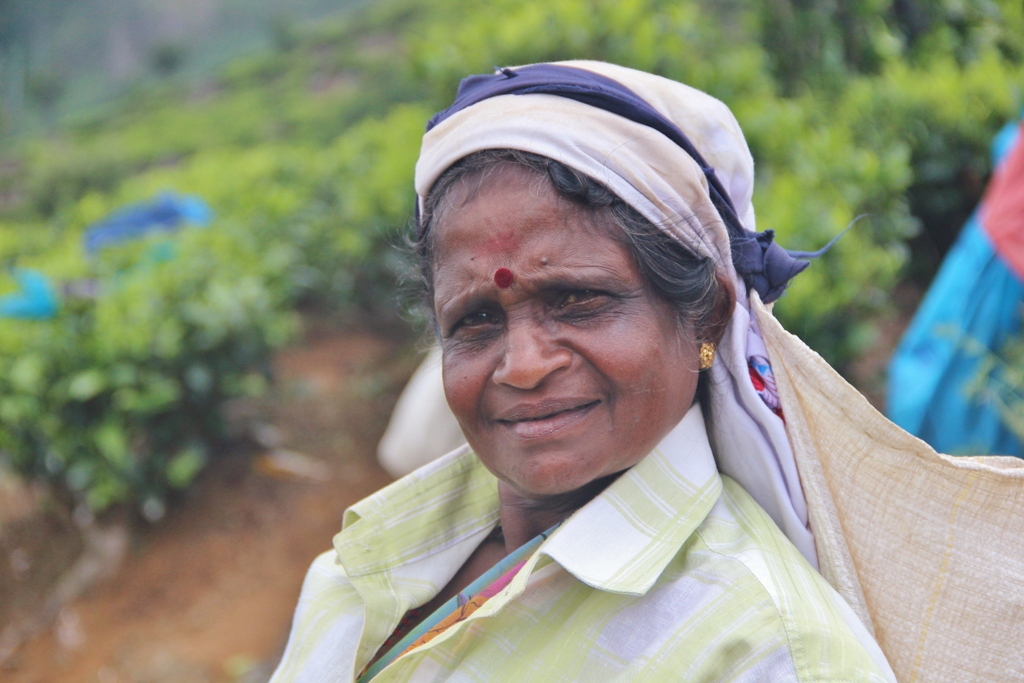 portrait-cueilleuse-tea-Ella-Sri-Lanka