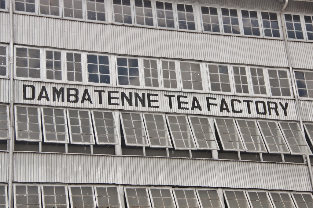 tea-factory-dambatenne-Ella-Sri-Lanka