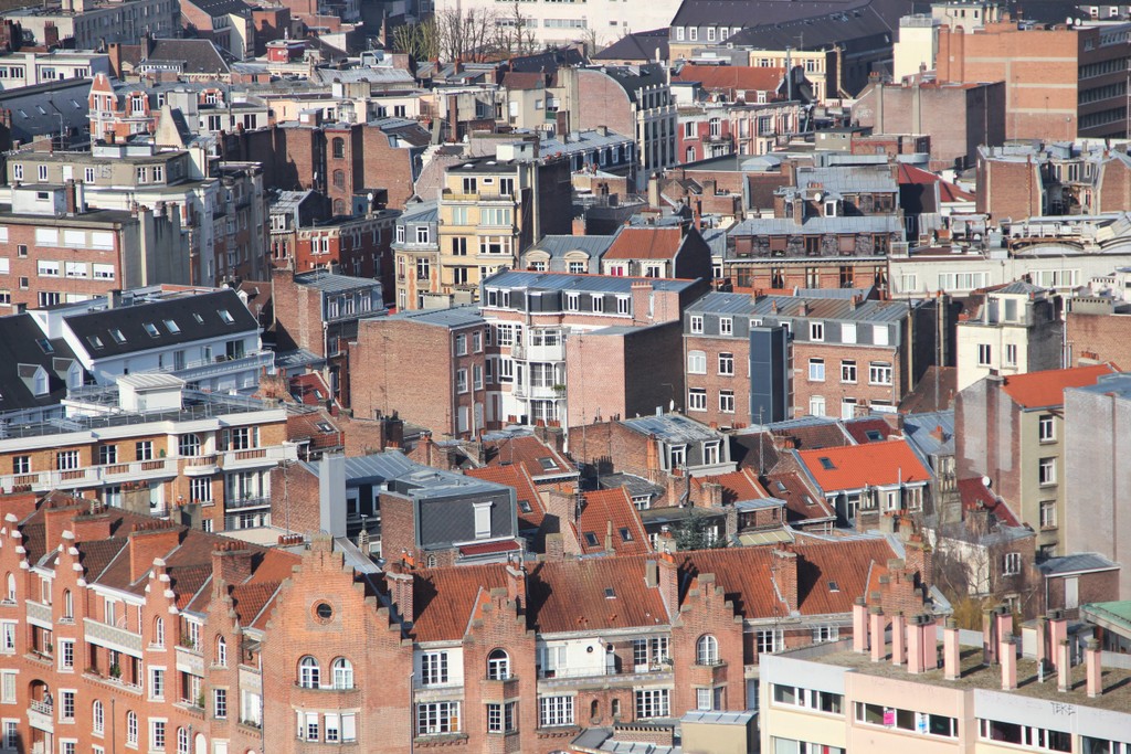 camaieu-toits-Lille-vue-beffroi