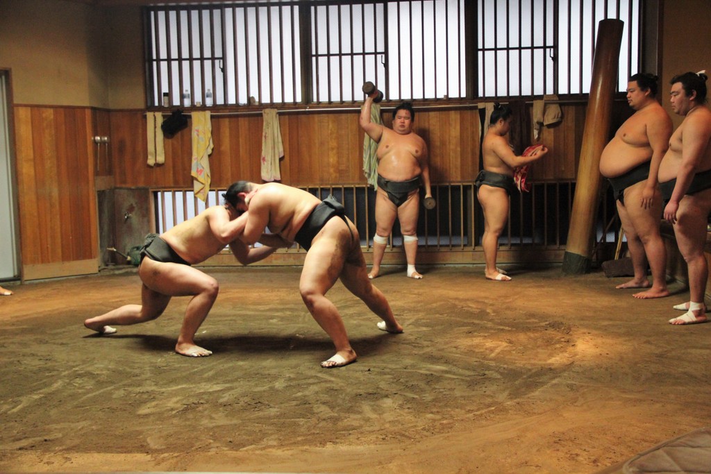 combat-sumo-tokyo-insolite