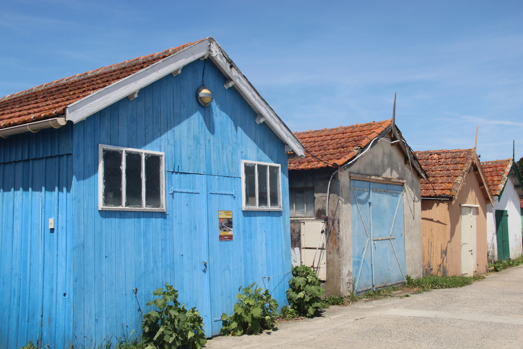 atelier-artiste-chateau-oleron