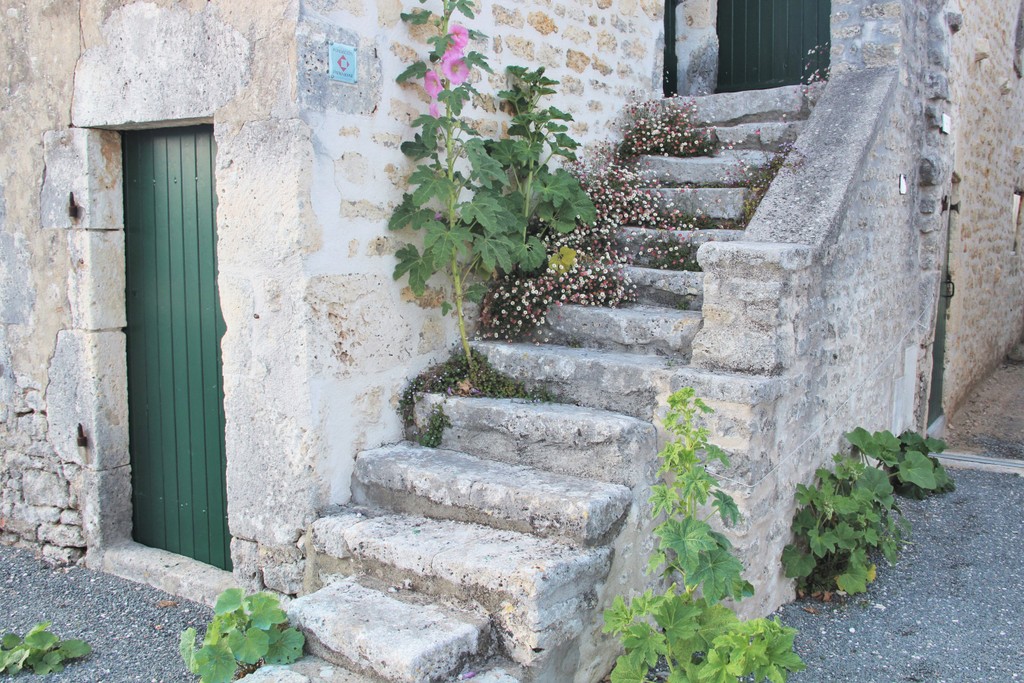 escalier-pierre-ile-oleron