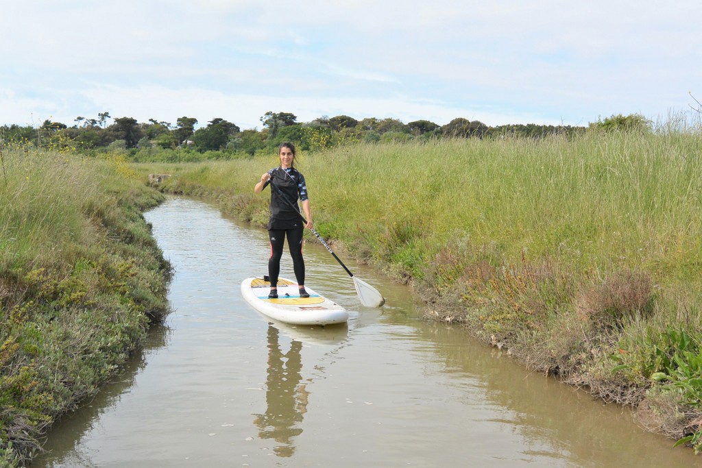 paddle-marais-ile-oleron