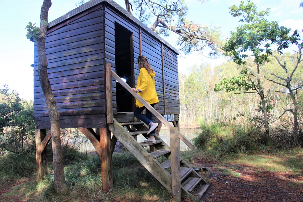 cabane-marais-observation-oiseaux-fouesnant-mylittleroad