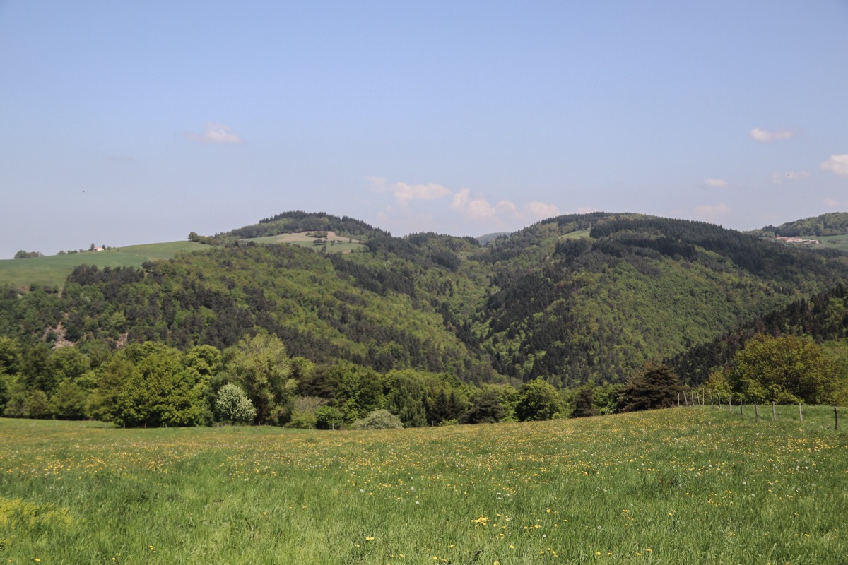 paysage trail Auvergne