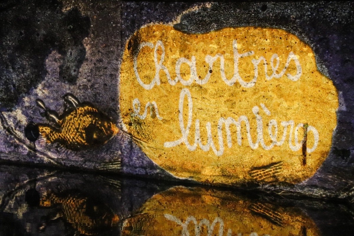 chartres en lumière